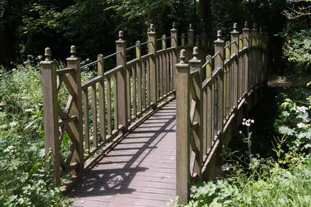Wooden footbridge over stream