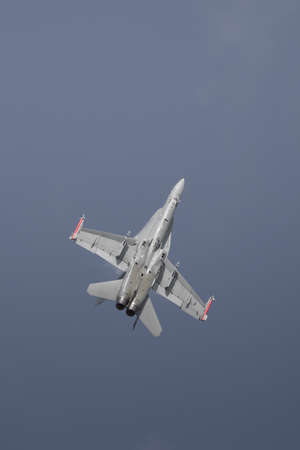 A McDonnell Douglas F/A-18 Hornet aircraft in flight