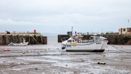 A landscape view of Lyme Regis, a seaside town in Dorset, UKのeditorial素材