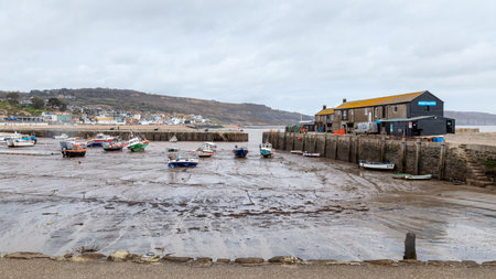 A landscape view of Lyme Regis, a seaside town in Dorset, UKのeditorial素材