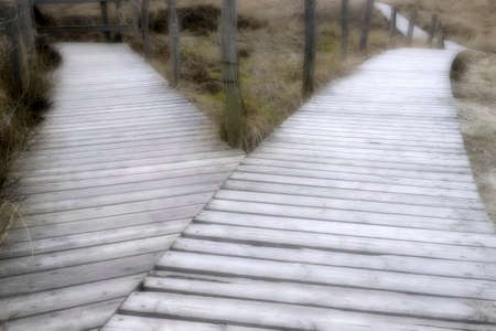 Boardwalk decisionの写真素材
