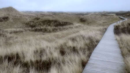Boardwalk through dunesの写真素材
