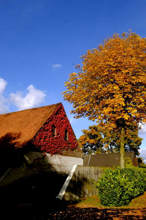 Autumn colorsの写真素材