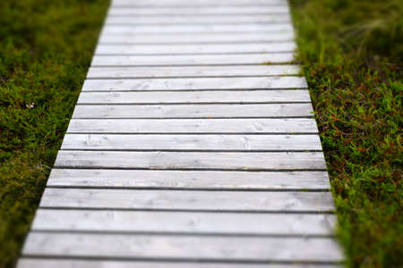 boardwalk in focusの写真素材