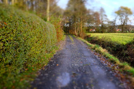 focus on a straight wet roadの写真素材