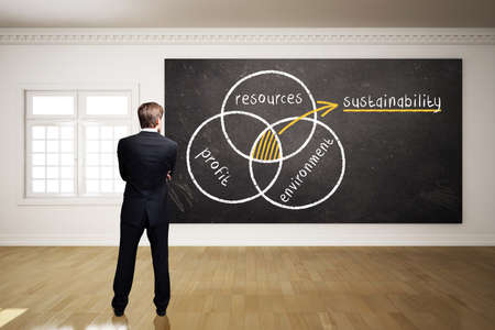 what is sustainability
