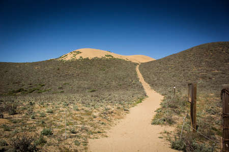 sand dunes at Monterrey Bay, USAの写真素材