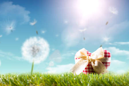 fabric heart in a spring scene