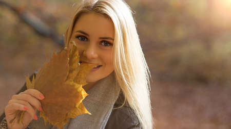 young blonde girl collecting leaves in autumn