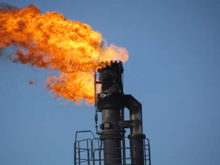 System of a torch on an oil field. Burning through a torch head.の写真素材