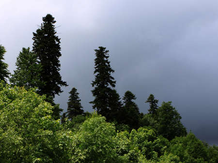 Landscape. Beautiful types of the nature in the photoの写真素材