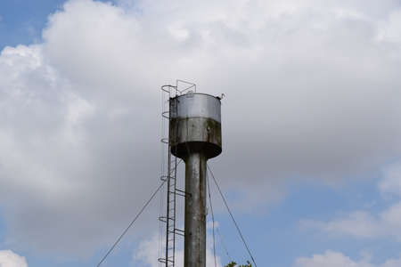Stork on a roof of a water tower. Stork nest.