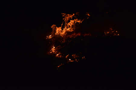 Fire fire. Burning of rice straw at night.の写真素材