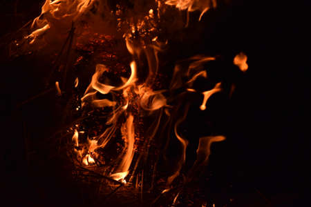 Fire fire. Burning of rice straw at night.の写真素材