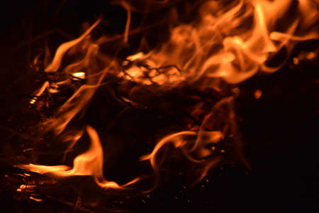 Fire fire. Burning of rice straw at night.の写真素材