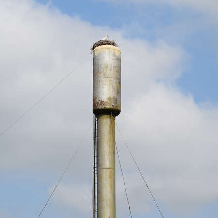 Stork on a roof of a water tower. Stork nest.の写真素材
