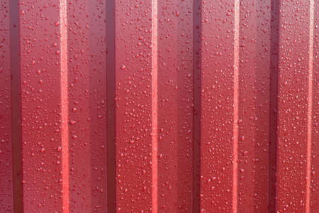 Diagonal pattern of metal profile. Fences from the galvanized iron painted by a polymeric covering.の写真素材