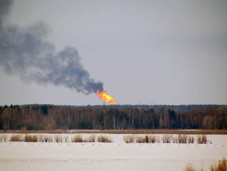 Burning gas flare on the forest background.