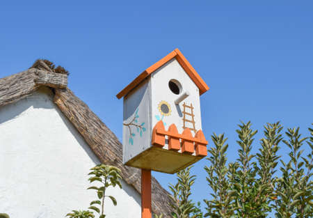 Birdhouses, the houses for birds. Decorated birdhouses and ornamented.