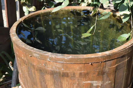 Wooden barrel filled with water. Storage in open water outdoors container.の写真素材