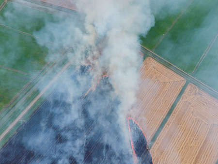 Burning straw in the fields of wheat after harvesting. The pollution of the atmosphere with smoke.の写真素材