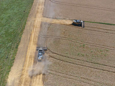 Harvesting wheat harvester. Agricultural machinery in operation.の写真素材