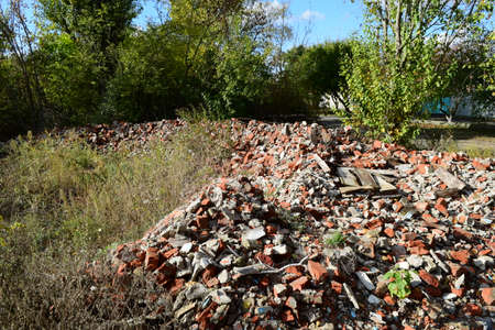 Collection of Beautiful Colorful Autumn Leaves. green, yellow and orange and redの写真素材