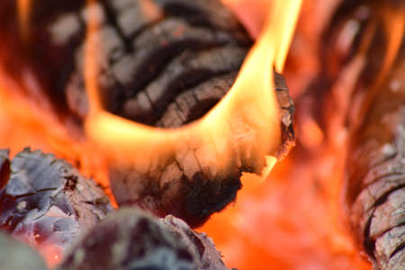 Hot coals in the stove. Red burned by heating the particles tree.