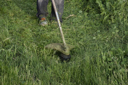 Mowing green grass using a fishing line trimmer. Application trimmers.の写真素材