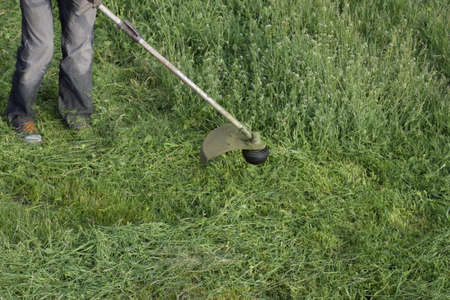 Mowing green grass using a fishing line trimmer. Application trimmers.