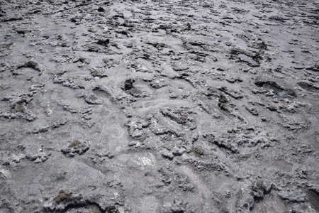 The crust of salt on the bottom of the curative mud dry lake. The surface of the salt lake.の写真素材