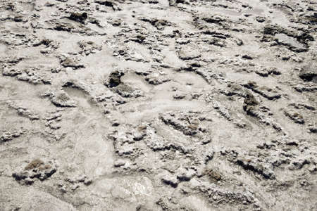 The crust of salt on the bottom of the curative mud dry lake. The surface of the salt lake.の写真素材