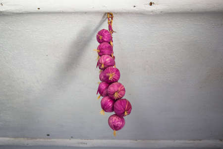 Drying hanging onion bulbs. Vegetables from his garden.