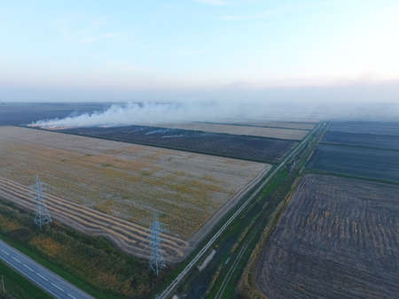 Burning straw in the fields after harvesting wheat crop.の写真素材