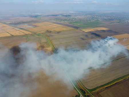The burning of rice straw in the fields. Smoke from the burning of rice straw in checks. Fire on the field.の写真素材