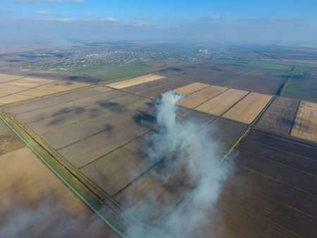The burning of rice straw in the fields. Smoke from the burning of rice straw in checks. Fire on the field.の写真素材