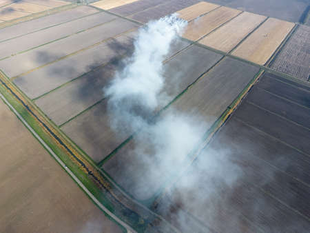 The burning of rice straw in the fields. Smoke from the burning of rice straw in checks. Fire on the field.の写真素材