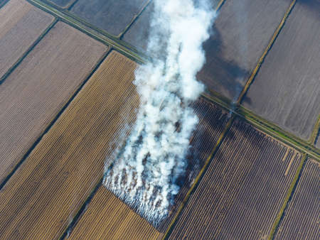 The burning of rice straw in the fields. Smoke from the burning of rice straw in checks. Fire on the field.の写真素材