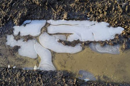 Ice on a muddy puddle on a dirt road.の写真素材