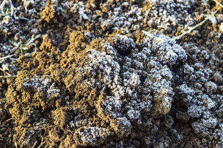 The soil and snow. Frozen ground. Background of the soil and snow.の写真素材