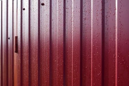 Diagonal pattern of metal profile. Fences from the galvanized iron painted by a polymeric covering.の写真素材