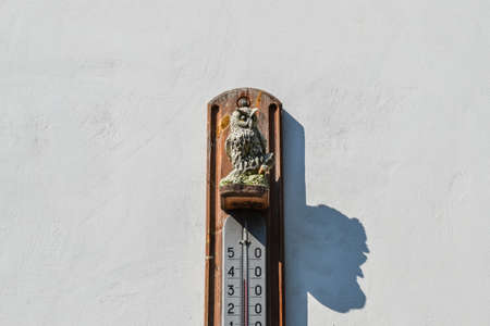 Wall thermometer. A device for measuring the ambient air temperature. Ornament of the owl,...