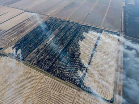 Burning straw in the fields after harvesting wheat cropの写真素材