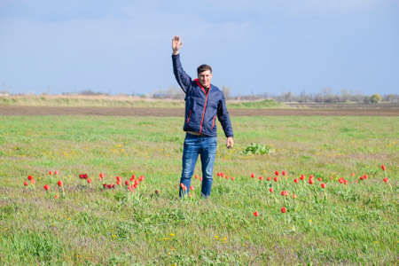 A man in a jacket on a field of tulips. Glade with tulips.の写真素材
