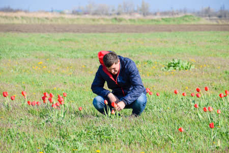 A man in a jacket on a field of tulips. Glade with tulips.の写真素材