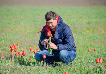 A man in a jacket on a field of tulips. Glade with tulips.の写真素材