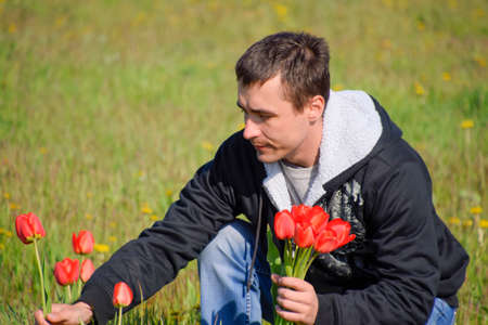 A man in a jacket on a field of tulips. Glade with tulips. A man is tearing tulips in a bouquet.の写真素材