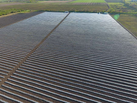 Rows of filmy greenhouses in the field. Growing vegetables in a closed ground. Greenhouses in the...