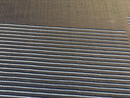 Rows of filmy greenhouses in the field. Growing vegetables in a closed ground. Greenhouses in the...