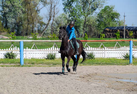 Krasnodar, Russia - April 28, 2017: Equestrian sports with teenagers. Horse Club. A girl is riding a horse.のeditorial素材